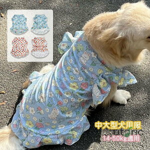 ^  tVc hbOEFA xXg ^ pW}tėp [EFA p[X  畆a ї\h pPA ^ ^ m _炩 o| ĕ ʋC ڐG⊴ 