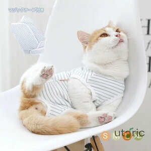 Lp 앞 p㕞 ybg p㒅 킢 pEFA QԒ pW} hbOEFA ybg  L p  rߖh~ ی D  畆ی Dp Jp  B 