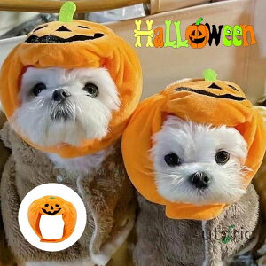 ybgXq J{` Lp RXv nEB ybg 蕨 nbg Xq RX`[  L 񂿂 ˂ ANZT[ LO RXv ʐ^Be p[eB[ RXv ϐg 