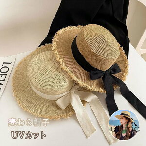 XqfB[X t Xg[nbg UVJbg nbg  r[` Ă~  R ܂肽 s C Ăh~ O΍ VRf ʋC ΍L s[` o