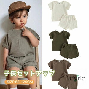 ZbgAbv LbY n ㉺Zbg xr[  tVc V[gpc W[W qǂ j̎q ̎q gbvX {gX 킢 Vv 2_Zbg q ĕ  t  