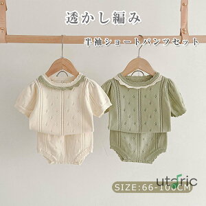 xr[ ZbgAbv ҂  V[gpcZbg xr[ 2_Zbg Ԃ p[X t  H ̎q s[X m K[Y JWA i {Q \ 