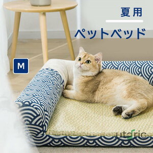 ybgxbh }bg^  xbh Lp p a  ybg Q }bg M ΍ ʋC ڐG⊴ 薰 xe 􂦂 킢  pNbV \t@[ NbV