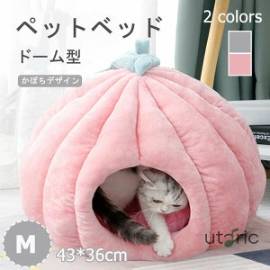 L xbh h[  L nEX h[^ ybgxbh ybg NbV  L  g  @Ő􂦂 LbgnEX NbV   Lp p ybg