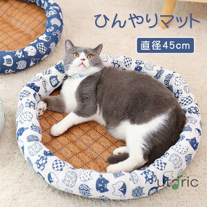 ėp Ђ}bg pxbh }bg ybgxbh Lpxbh _炩  đ΍ XNGAxbh NbV  ΍ MǑ΍ v u  薰  \tg N