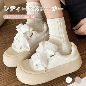 Xj[J[ fB[X Xb| fB[X Xj[J[ WjA V[Y JWA V[Y X|[cV[Y fbLV[Y RtH[gV[Y y h ʋC ~ 