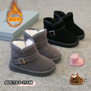 [gu[c LbY u[c {A g N xgt n Vv  qC V[gu[c Xm[u[c ̎q j̎q ~ xr[ C _炩 ʊw ʉ v[