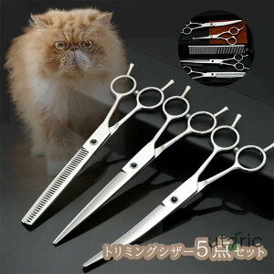 5_Zbg g~OVU[ P[Xt g~O nT~ ybgp  e g}[ JbgnT~ JbgVU[ ZjOVU[ g~O͂ p͂ LnT~ Sge ƒ