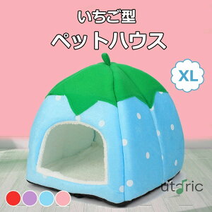 ybgnEX h[^ ybgxbh  L ybgnEX \t@[ C`S^   nEX h[  킢 ~ 