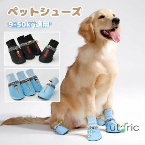 pC hbOu[c pV[Y 4Zbg C Cu[ CV[Y ^ ی ₯ǖh~ ~ h~ Ԕ˃e[vt ^ ybgp ʋC _炩 y