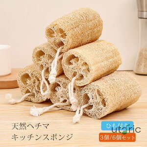 VRw`}uV Lb`X|W w`}킵 H VRA@ w`}^V 䏊pX|W H􂢗pw`}킵 3/6Zbg H  Lb`pi ɂ₳ Ђt