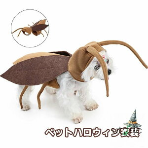   RXvߑ ybg nEB ʔ SLu RX`[  p Lp Xq 蕨 nEB   ʔ ߑ  ϐg hbOEGA ybg