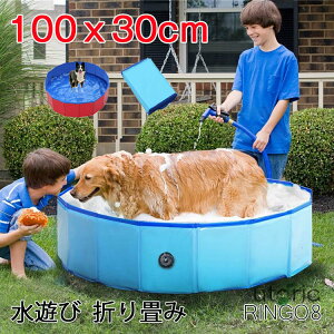 v[ 100x30cm ybgv[ V ܂ ܂肽 oX xr[ v[ ybgpoXObY ybgpoX^u ܂ ^ѕ֗ PVCf t  L poXObY 