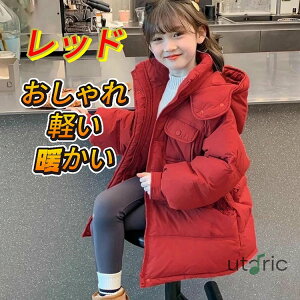 LbY AE^[ ̎q R[g q WPbg w ~̕ LbY ꂢ    g h q H~  ~p Vv y AE^[ h