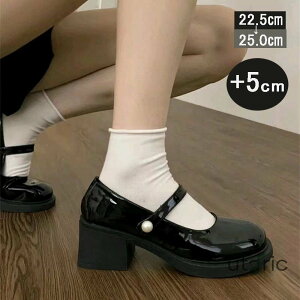 [t@[  fB[XC 5cmq[ ʊwtH[}C w[t@[ q[t@[ tH[} V[Y q[[t@[ r  ubN w Vw w ʊw d rWl