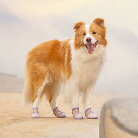 犬 靴 犬靴 犬の靴 ドッグシューズ シューズ ハード ブランド 防水 スポーツ 足 怪我 シニア ケア 小型犬 中型犬 大型犬