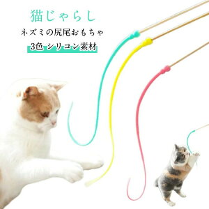 XgXy ĂSIL炵 ĂSIL炵 pi S3F 1 Lp VR ^sP |XeBbN L̂ L ybg XgX L̊ߋ S  v