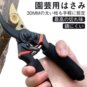 ԃnT~  ol  ΂ ΂ ͂ ΂ K[fjO oT~ Kтɂ }΂ ΂ }؂oT~ |nT~ |p͂  v 