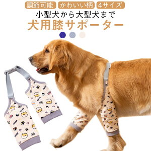    p ʋC  pGT|[^[  T|[^[  Jo[ V  veN^[ O  p֐߃veN^[  GT|[^[ I  ֐߉ pی ֐ߕی 