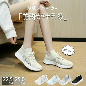 Xj[J[ fB[X EH[LOV[Y _CGbg Xj[J[ bVXj[J[ JWA ꂢ ʋC y ɂ _CGbgXj[J[ JWA ^C i[XV[