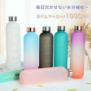   q ڐt X|[c  ʋ ʊw 1L 1000ml  EH[^[{g ^C}[J[ jp gѕ֗ Rh~ q e y  ̎q  킢 vX`bN