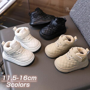 LbY Xj[J[ j̎q ̎q WjA g h N nCJbg y qC JWA AEghAX|[c ^C ₷ Ȃ  ʊw 蕨 w ~p 