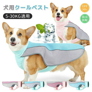  Ђ N[xXg N[EFA ^ ^  ^Ngbv ΍ ̉ ăoe\h  L   U ybg ʋC K  _炩 bV ڐG⊴