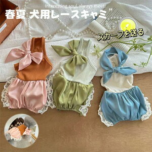 t  [X t L~\[ p[X SNSf  XJ[t 2_Zbg Be ʐ^ ybg ^ ^ q m hbOEFA LbgEFA  L  EȒP INS 