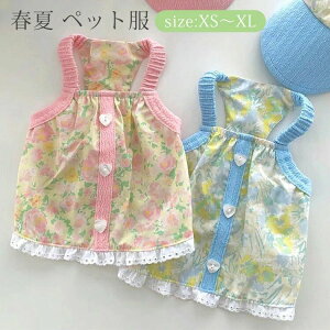 t ybg ^ ^  ԕ t L~\[ SNSf  m hbOEFA LbgEFA  L t ʋC  EȒP Be ʐ^ INS  _炩 L~ XS S M L 