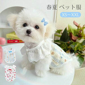 t ybg  [X t ^Ngbv ^ ^ m  ʋC  DOt  ʐ^ ins hbOEFA LbgEFA L ё΍ ԕ xXg EȒP U