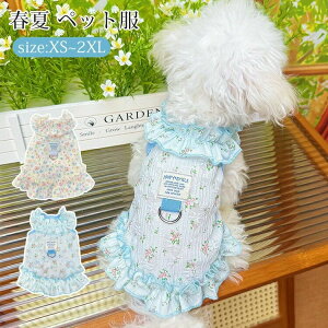 ybg t s[X ^ ^  t ԕ m  ʋC  ʐ^ DOt  hbOEFA LbgEFA L ybg I[o[I[ EȒP  U