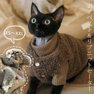 LbgEFA {AxXg Z[^[ Zbg CX^f H ~   V XtBNXL EȒP _炩 L  ybg  Z[^[ ujbg ArVjA 