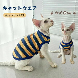 LbgEFA  XgCv oCJ[  L _炩  [EFA CX^f f{bNX XtBNXL ArVjA ybgEFA ^Ngbv t  H 