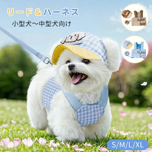 t n[lX[h  ^ ^ L~\[ Xq 3_Zbg  hbOEFA LbgEFA  ʋC L ybg I[o[I[ EȒP h~  D