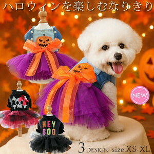  nEB ڂ s[X RXvߑ Lp ybg  ̕ hbOEFA s[X C nEB  Ȃ肫 RX`[ ڂ`[s j̎q 