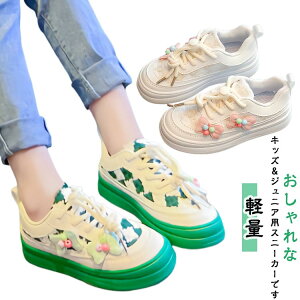  LbY C WjA LbYC j̎q ̎q y Xj[J[ X|[c V[Y ^C xr[C Ԃ  [Jbg  q  w ۈ牀 ct w 