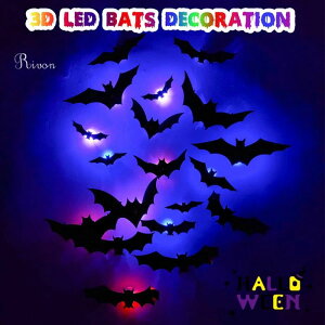 _12Zbg^nEB  ݂艺   RE|͋̕C nEB[Cu RE   3D ǂɓ\ IV fR[V O    |[` 