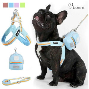  n[lX [h Zbg ʓfUC  V^ ʋC bV y _炩 Ȃ EȂ EȒP ߉\ h~   |[`t U/o 2025  n