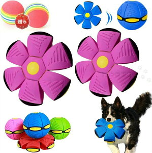 tCOfBXN {[ ߋ 3 ό`{[ p   tXr[ VR ybgߋ{[ ϋv v e͐ m\P ^s ϊݐ ^ ^ 