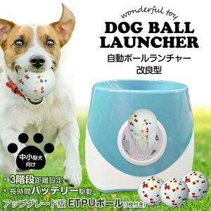 {[`[    {[ ǌ^ETPU{[ 3t p {sb` 3ނ̔ˋ (zCgu[)