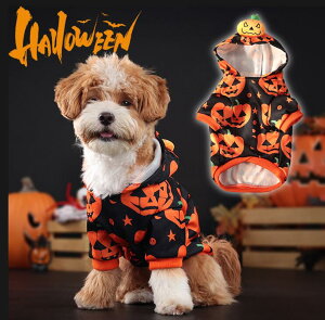  L lR RX`[ ڂᕿ IoP _炩 킢  ϑ ߑ ybgp U