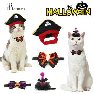 _Xq+ց^nEB RX`[ ybg   RXv ϐg RX`[ L   ߑ ybgϐg  nEB Lp nEB ybg  ϐg nEB[ ߑ