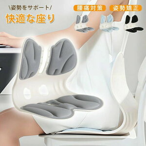 p`FA ՃT|[g /荘΍ pǂȂ ItBX`FA/Q[`FA//֎qpNbV Ch y ^т₷ 150kg܂őΉ Kɂ₳ŊԔw