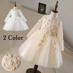 sAm\ hX xr[hX  OK[ hX t[K[ xr[ ̎q EFfBOhX s[X LbYhX oYj V Zj[hX {Q t