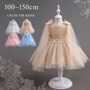  OK[ hX sAm\ hX w LL XpR[ s[X tphX w 킢 _Xߑ ̎q bV WjA t[K[ o q