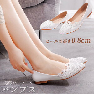 uC_V[Y Ȃ  pvX [q[ 1cm  tbg ؂ EFfBOV[Y [X uC_ V[Y ɂȂ Dw Ă΂ ԉ r  tH[}