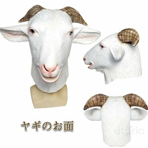 nEB   Rr }XN M̂ ebNX  ϐg 蕨  F p cm tt   A  j[N j  jp  tHgWFjb Cxg 