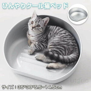 L ˂ A~ Ђ xbh ⊴ ėp ˂ lR Lxbh ybgxbh N[ Lp M/L W{TCY p ACXxbh L  ^ 킢  ~^  MǑ