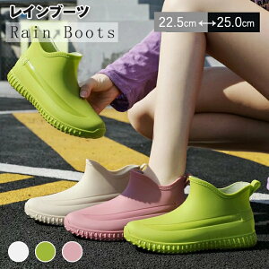 Cu[c fB[X y JC J V[g Vv C t[`[u[c hC ₷ y ~J΍ ꂢ  Lb` K[fjO h ~J  䕗 JC 