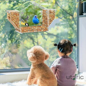 p̉a o[htB[_[  vX`bN{bNX ݂艺zՕt 쒹 a z ̉a  a a 쒹̃GT CR   XY 뉀̑ pi